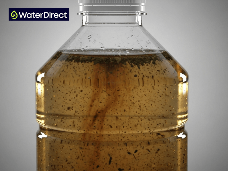 Potable and Non Potable Water Difference