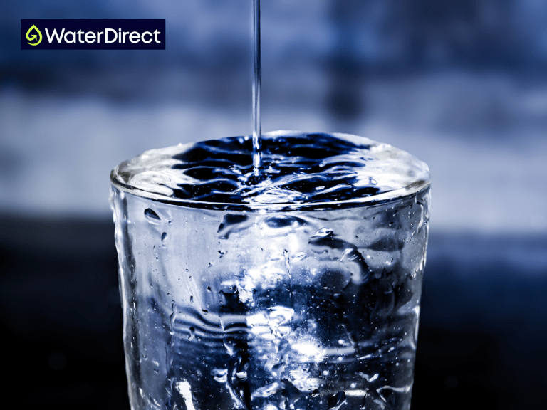 What is Potable Water