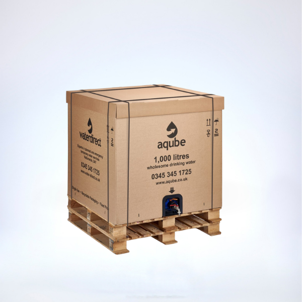 1000L carton box on 2 wooden pallets, eco friendly water bowser